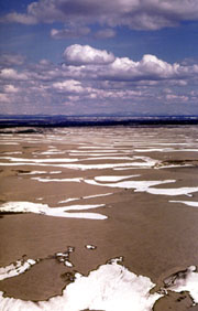Kobuk Sand Dunes