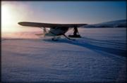 Minus 50, Selawik Basin