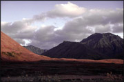 Purple Mountain, Noatak Valley