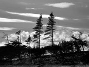 Skyline, Squirrle River