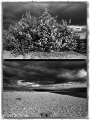 Storm coming, Noatak River