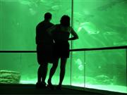 Couple at aquarium